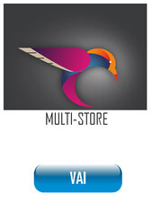 MULTISTORE.jpg